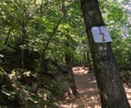 A marker attached to a tree shows the halfway point up the Abby Grind