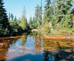 The tiny Neverland Lake along the Al&#39;s Habrich Ridge Trail near the Sea To Sky Gondola