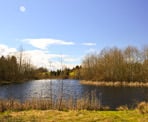 The lake area near near Aldergrove Bowl in Aldergrove Regional Park