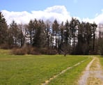 A wide trail to the east of the lake area in Aldergrove Regional Park