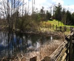 The trail near the lake, looking up towards one of the high points in Aldergrove Regional Park