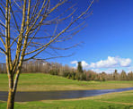 A beautiful day looking across Aldergrove Regional Park