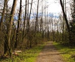 The Rock &#39;N Horse Trail in Aldergrove Regional Park
