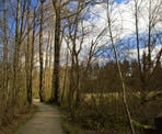 A trail near the picnic area in Aldergrove Regional Park
