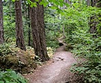 The start of the trail to the Alexandra Bridge