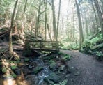 A bridge crosses the small creek on the Four Lakes Trail between Alice Lake and Edith Lake