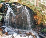 A small waterfall near the Ancient Cedars forest in Whistler, BC