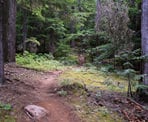 The 2nd section of the Ascent Trail called Big Burn