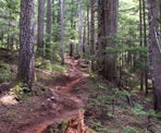 The 3rd section of the Ascent Trail known as Heart Burn on Blackcomb