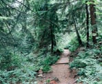 The Baden Powell Trail above the Delbrook neighbourhood in North Vancouver