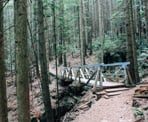 A Bridge on the Baden Powell Trail above Delbrook neighbourhood in North Vancovuer