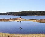 Paddleboarders paddling by Beaumont Marine Park on Pender Island