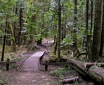 A bridge crosses a muddy section in Bert Flinn Park in Port Moody