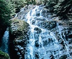 Kennedy Falls is a spectacular waterfall that is located below the Kennedy Lake Watershed