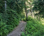 The Baden Powell Trail to Black Mountain and Cabin Lake