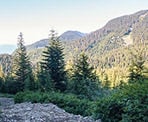 A view of the Cypress Mountain ski area from the trail to Black Mountain