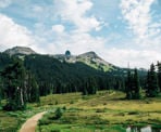 The trail through Taylor Meadows on the way to Black Tusk in Garibaldi Provincial Park