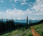 Looking back at the view of the mountains on the trail heading up to Black Tusk