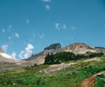 Looking up towards Black Tusk as the trail passes the final pieces of vegetation before reaching the rocky, alpine altitude