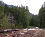 The old logging road next to Chilliwack Lake Road to Bosumarne Falls