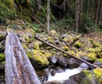 The bridge crossing along the trail to Bosumarne Falls