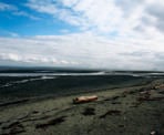 A view of Boundary Bay from the Dyke Trail in Tsawwassen