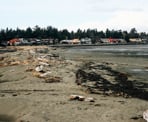 Homes located along the Boundary Bay Dyke Trail