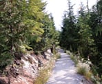 The gravel path that climbs towards the Bowen Lookout near Cypress