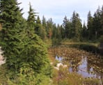Yew Lake near the Cypress downhill ski area