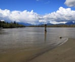 The view looking down the Fraser River from Tavistock Point on Brae Island in Fort Langley