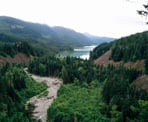 The view looking south towards Daisy Lake near Brandywine Falls