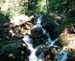 The creek alongside the steep, rugged trail to Brandywine Meadows