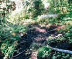 The muddy trail up the steep slope to Brandywine Meadows, just south of Whistler, BC