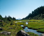 A small creek meanders through the meadows as you look back towards the route that you arrived at Brandywine Meadows