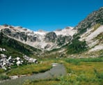 The view of Brandywine Meadows and the wildflowers near Whistler, BC