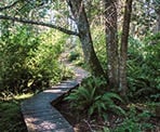 The boardwalk to Brooks Points on Pender Island