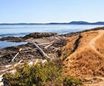The shoreline view from Brooks Point looking towards Gowland Point
