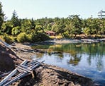 The shoreline view from Brooks Point on Pender Island