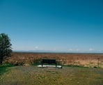 A bench overlooks the marshland around Brunswick Point
