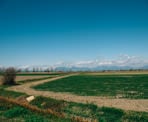 The distant mountains behind the farmland near Brunswick Point in Delta, BC