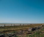 Old dock pillars along the beach near Brunswick Point