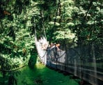 The suspension bridge at the north end of Buntzen Lake crosses near the beach area