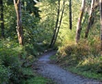 The Trans Canada Trail on the way down Burnaby Mountain towards the Barnet Highway