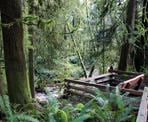 A bench overlooking the creek on the Burnett Falls trail