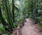 The short but steep trail to Burnett Falls