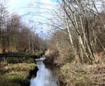 The creek along the main trail of the Delta Nature Reserve