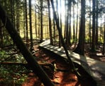 he wooden boardwalks at the Delta Nature Reserve