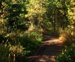 The Delta Nature Reserve is thick with a variety of plant life