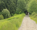 Horses use some of the multi-use trails in Campbell Valley Park in Langley