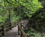One of many wooden bridges along the upper section of the Capilano Pacific Trail